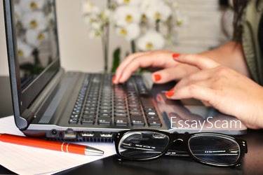 Solid Writer Solid Writer