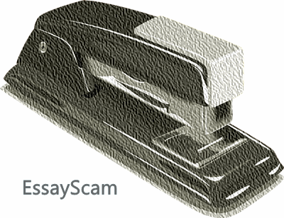 Essay Response Staples