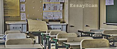 The Essay Class The Essay Class