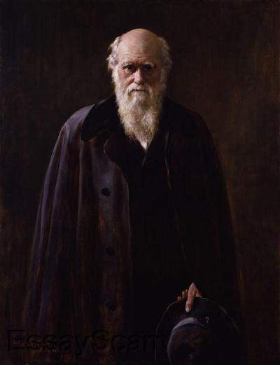 Theories of Science and Research
