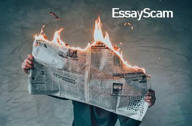 Verified Essay Company
