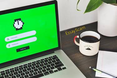 Freelance Writing Account