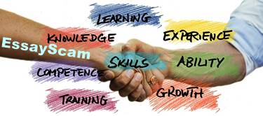 Got Writers Experience