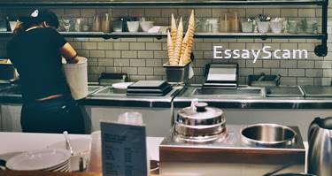 Write and Plagiarize Business