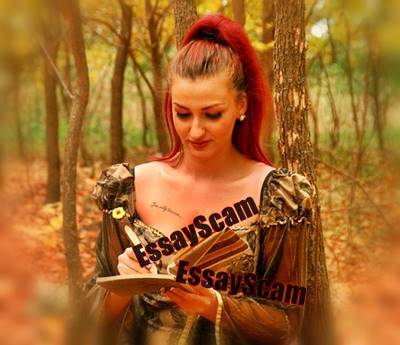 Freelance Writer Application