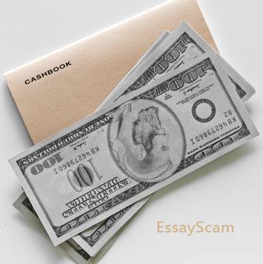 Writer Earnings
